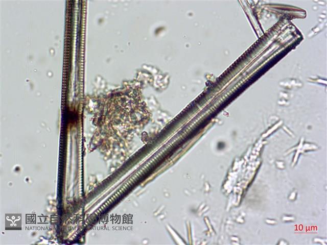 登錄號:A00004664藏品圖，第4張
