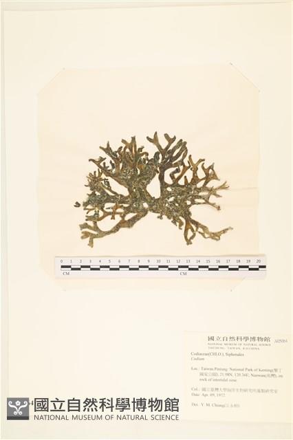 登錄號:A00005064藏品圖，第3張