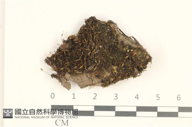 登錄號:B00018164藏品圖，第1張