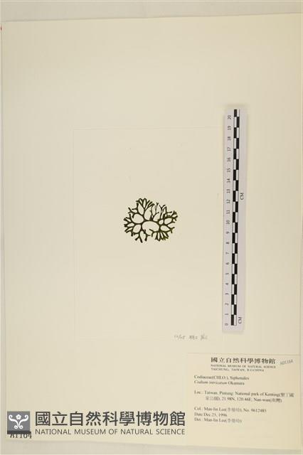 登錄號:A00001164藏品圖，第3張