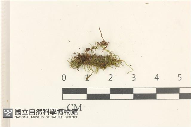 登錄號:B00017564藏品圖，第1張