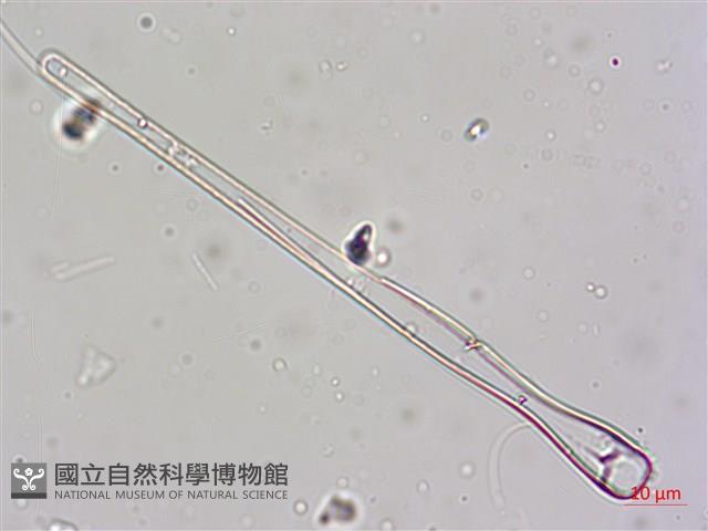 登錄號:A00004604藏品圖，第4張
