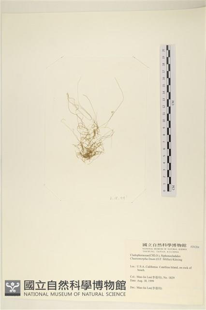 登錄號:A00004204藏品圖，第3張