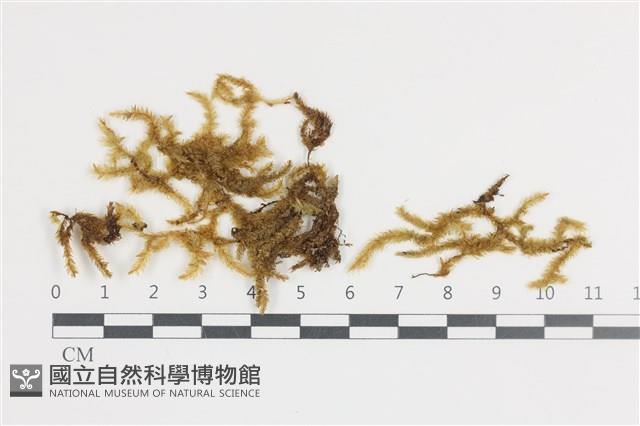 登錄號:B00009004藏品圖，第1張