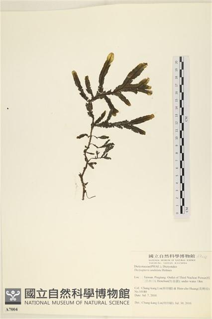 登錄號:A00007004藏品圖，第1張