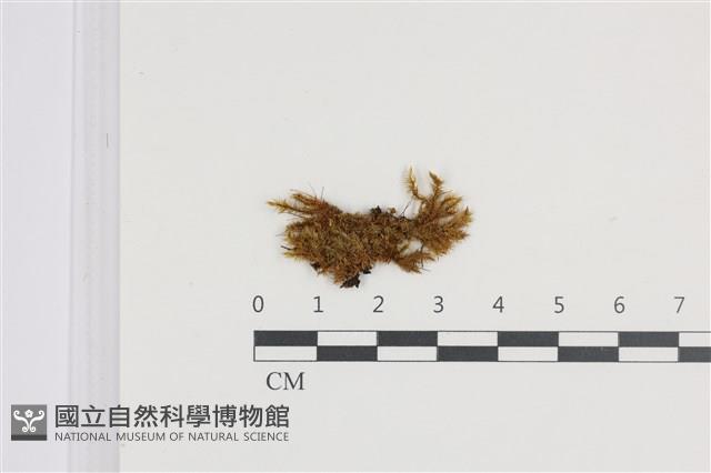 登錄號:B00004504藏品圖，第1張