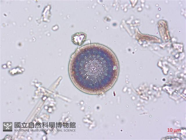 登錄號:A00004504藏品圖，第4張