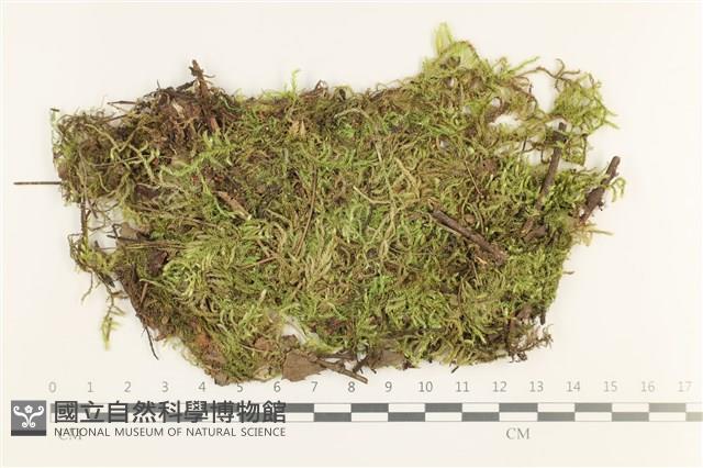 登錄號:B00012404藏品圖，第1張