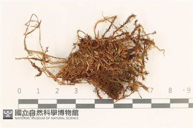 登錄號:B00018404藏品圖，第1張