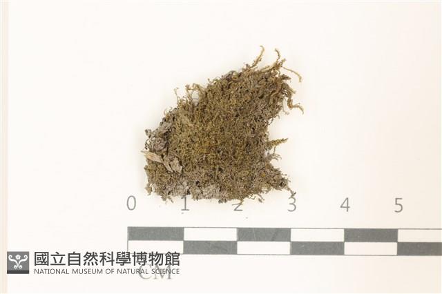 登錄號:B00019404藏品圖，第1張