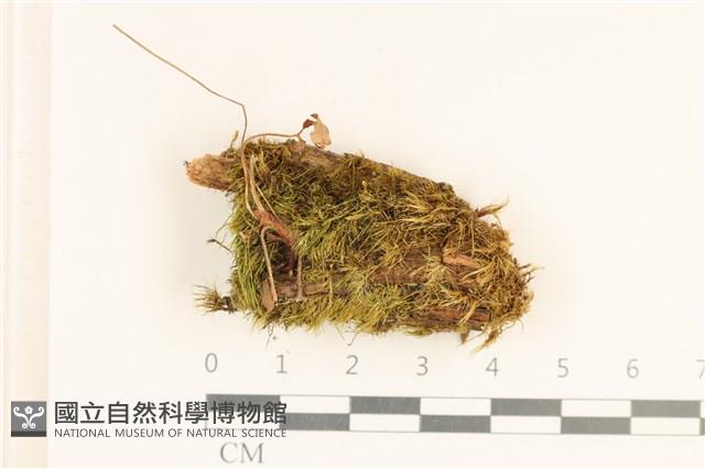 登錄號:B00017404藏品圖，第1張