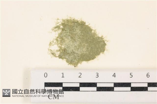 登錄號:A00003404藏品圖，第1張