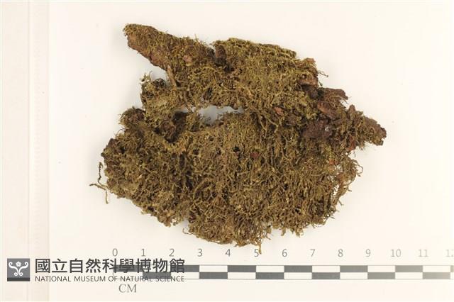 登錄號:B00019704藏品圖，第1張
