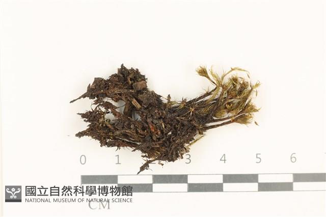 登錄號:B00021704藏品圖，第1張