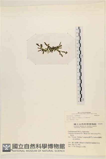 登錄號:A00002284藏品圖，第3張