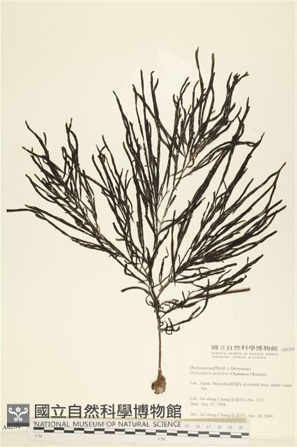 登錄號:A00006284藏品圖，第1張