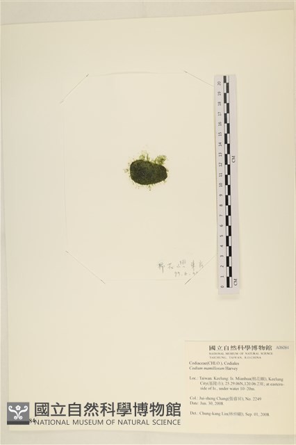 登錄號:A00006084藏品圖，第3張