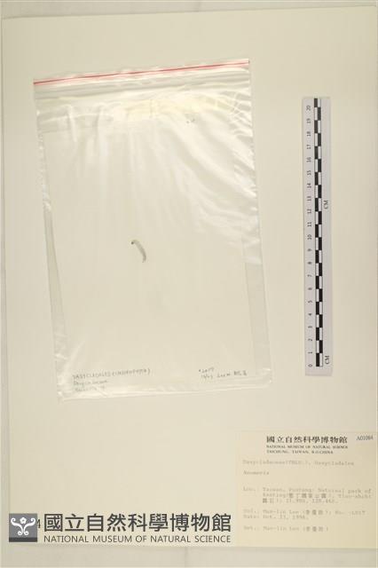 登錄號:A00001084藏品圖，第3張