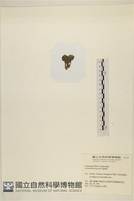 登錄號:A00002184藏品圖，第3張