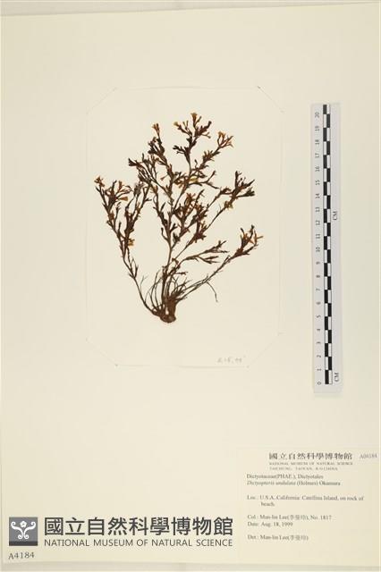 登錄號:A00004184藏品圖，第1張