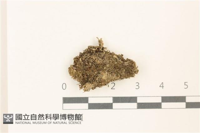 登錄號:B00019584藏品圖，第1張