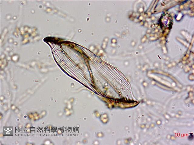 登錄號:A00004584藏品圖，第3張