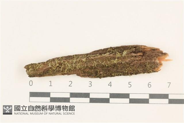 登錄號:B00015584藏品圖，第1張