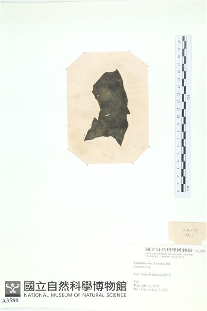 登錄號:A00003584藏品圖，第3張