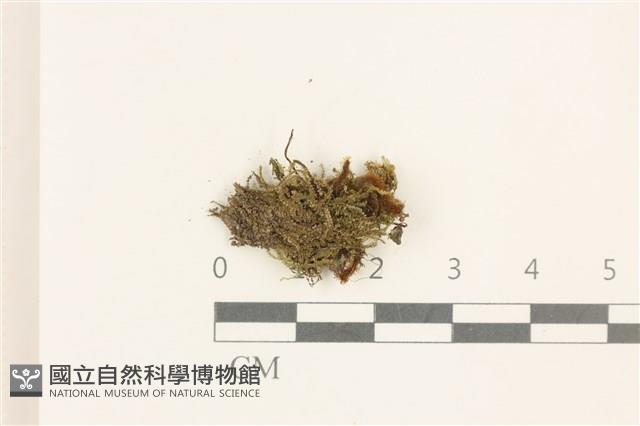 登錄號:B00019484藏品圖，第1張