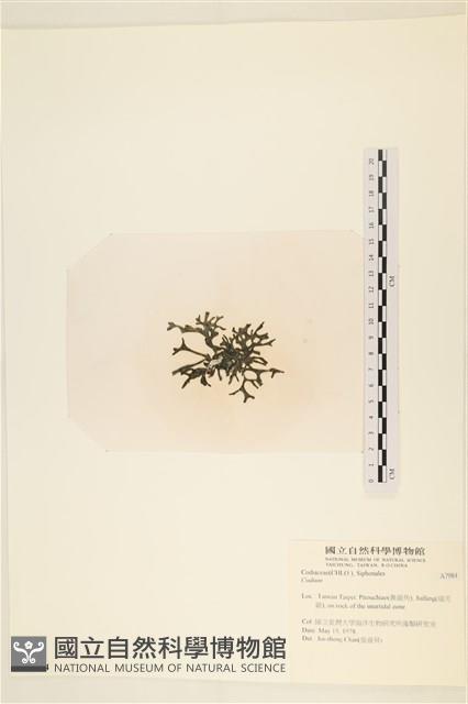 登錄號:A00007984藏品圖，第3張