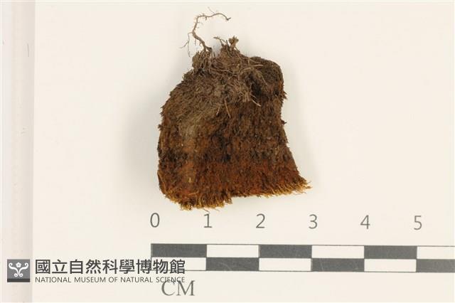 登錄號:B00017784藏品圖，第1張