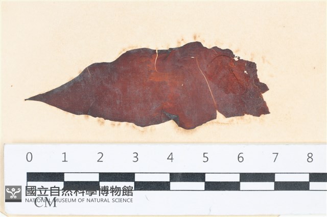 登錄號:A00003784藏品圖，第1張