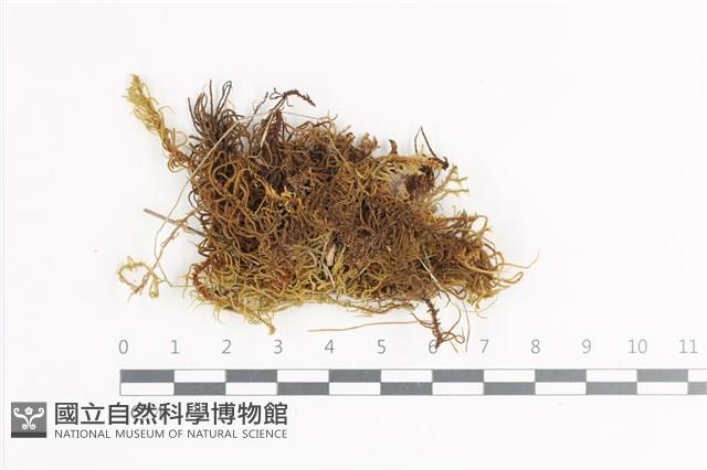登錄號:B00018637藏品圖，第1張