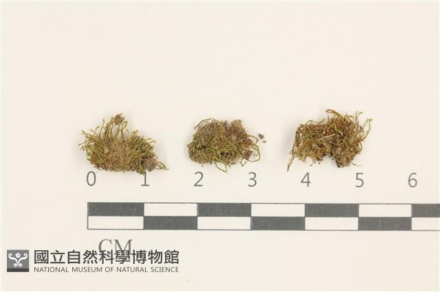 登錄號:B00014637藏品圖，第1張