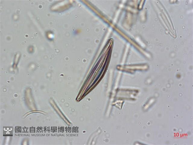 登錄號:A00004637藏品圖，第4張