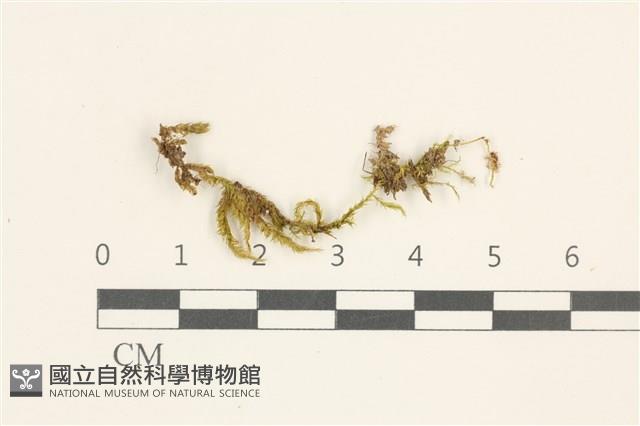 登錄號:B00015137藏品圖，第1張