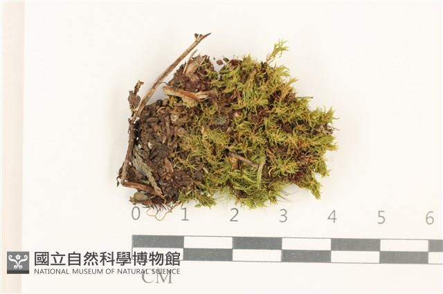 登錄號:B00016537藏品圖，第1張