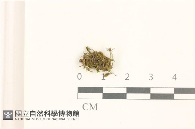 登錄號:B00015537藏品圖，第1張