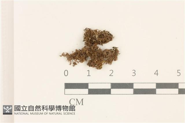 登錄號:B00014437藏品圖，第1張