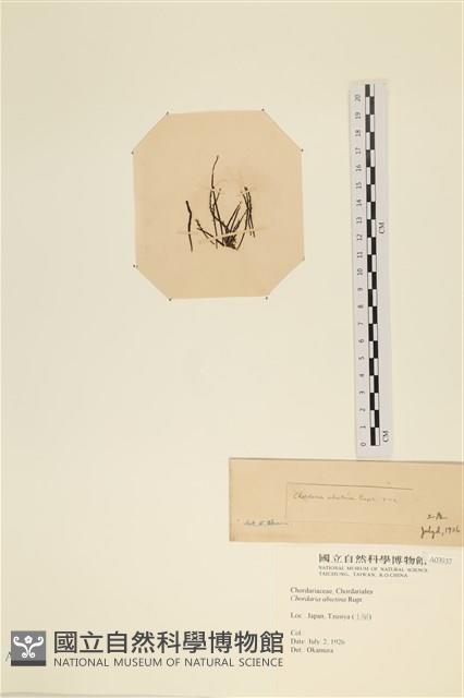 登錄號:A00003937藏品圖，第3張