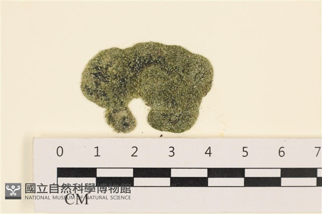登錄號:A00005337藏品圖，第1張