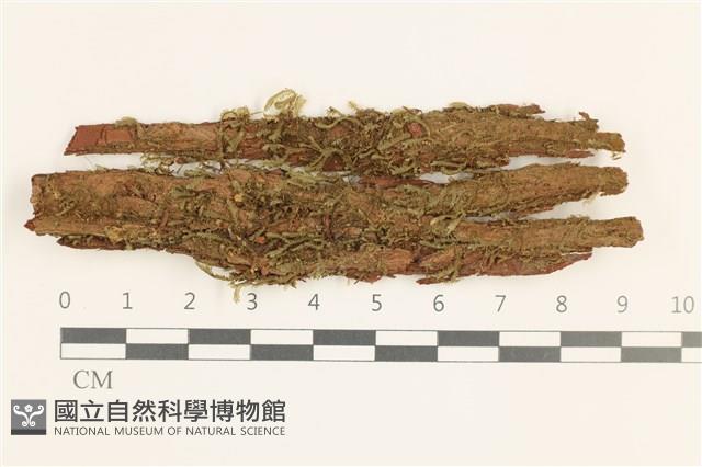 登錄號:B00019737藏品圖，第1張