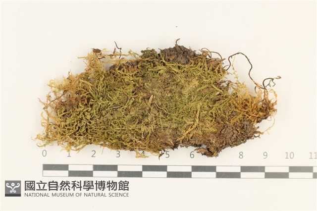 登錄號:B00001737藏品圖，第1張