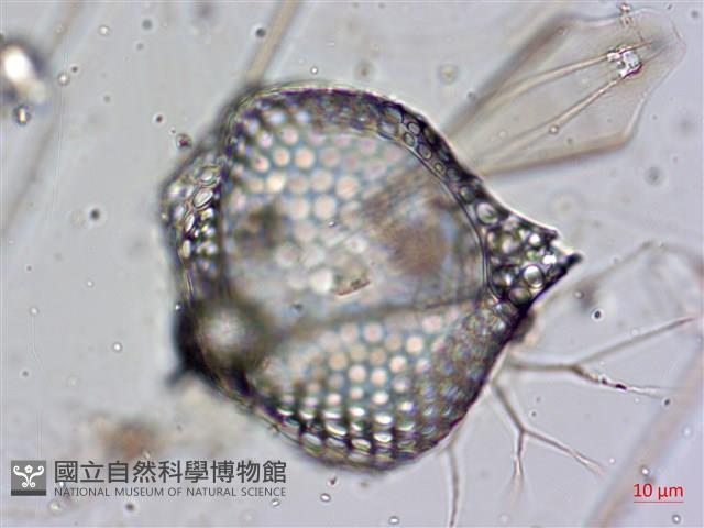 登錄號:A00004657藏品圖，第4張