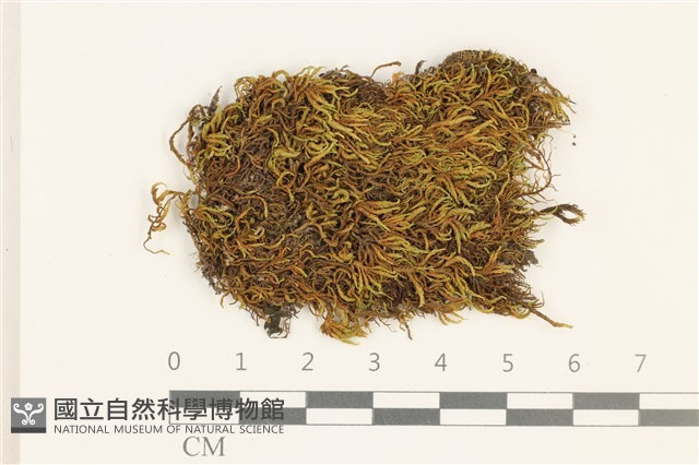 登錄號:B00002257藏品圖，第1張
