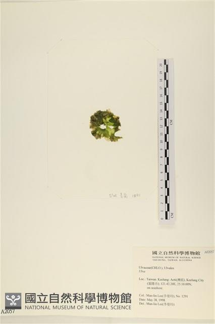 登錄號:A00002057藏品圖，第3張