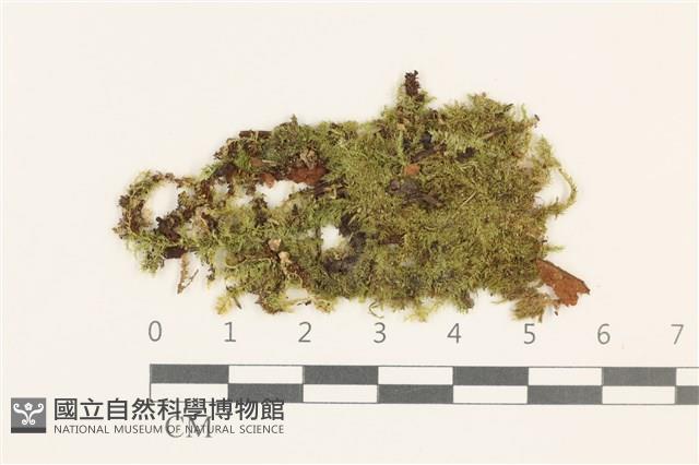 登錄號:B00014057藏品圖，第1張