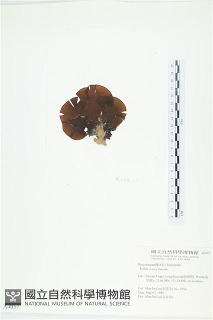 登錄號:A00004057藏品圖，第3張