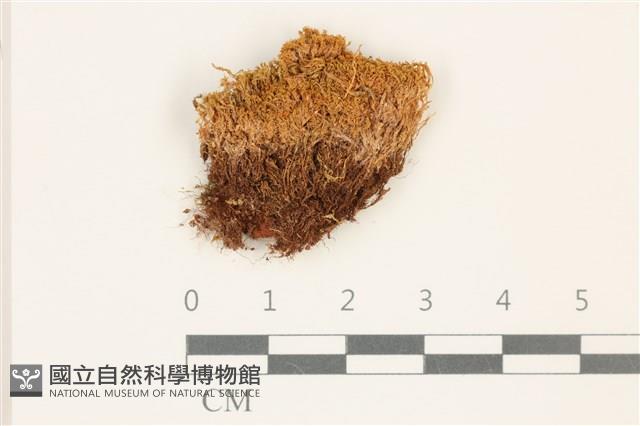 登錄號:B00018157藏品圖，第1張