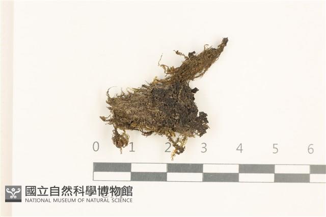 登錄號:B00019157藏品圖，第1張